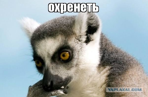 Иди ко мне, моя прелесть!