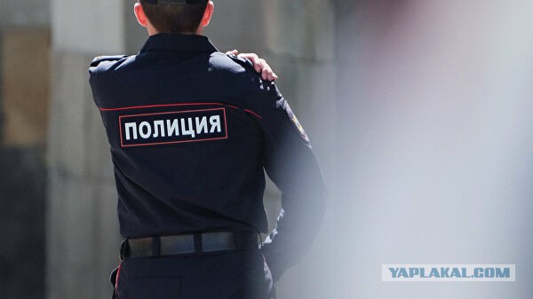 Курьер-мигрант попытался изнасиловать заказавшую еду россиянку