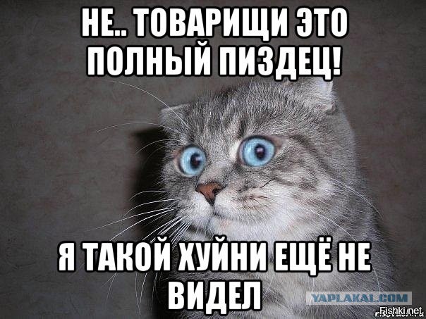 Пара-пара-пам! Фьють. Картинки с надписями. И прочий бред...
