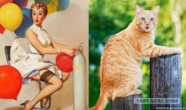 Этот взгляд