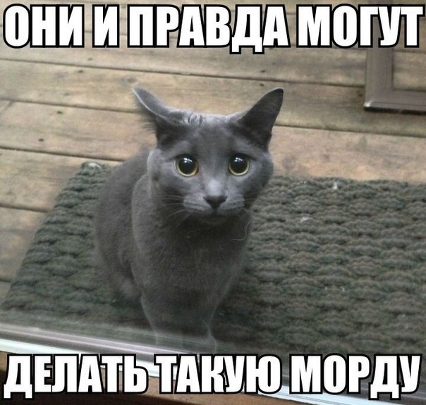 Чуток картинок 12.03.20