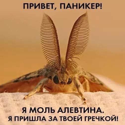 Что происходит с ценами уже? Что же будет дальше?