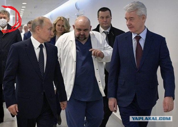 Пандемия. Коронавирус. Россия и мир. Последняя информация. Часть 11