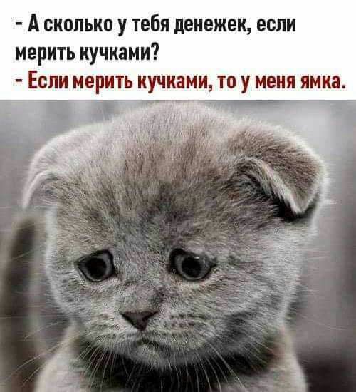 Чуток картинок 15.04.20
