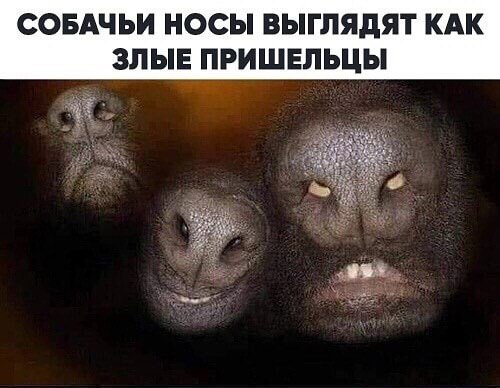 Светящийся болид свалился с неба на Сибирь