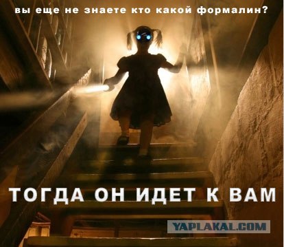 Неделя креатива на ЯПлакалъ! Школа креатива