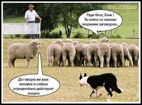 Треть россиян не верят в эпидемию, а четверть назвали эпидемию COVID-19 выдумкой заинтересованных лиц