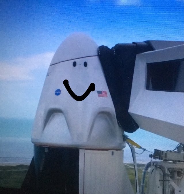 Прямая трансляция повторного запуска SpaceX Crew Demo-2