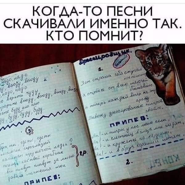 Немного картинок для настроения 19.08.20