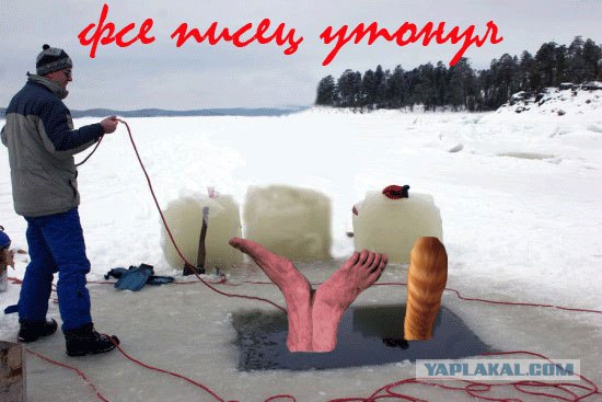На живца
