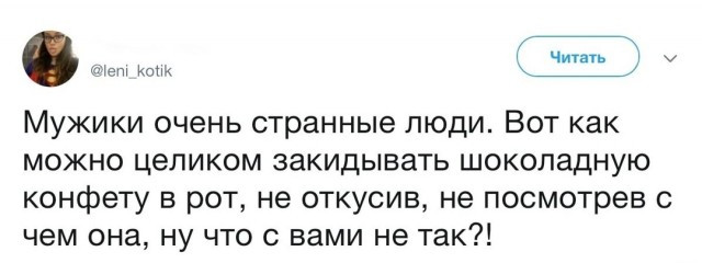 Фотки и картинки: юморные и красивые, забавные и милые 03.10.20