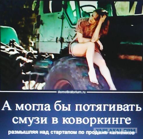 Фотки и картинки: юморные и красивые, забавные и милые 15.10.20