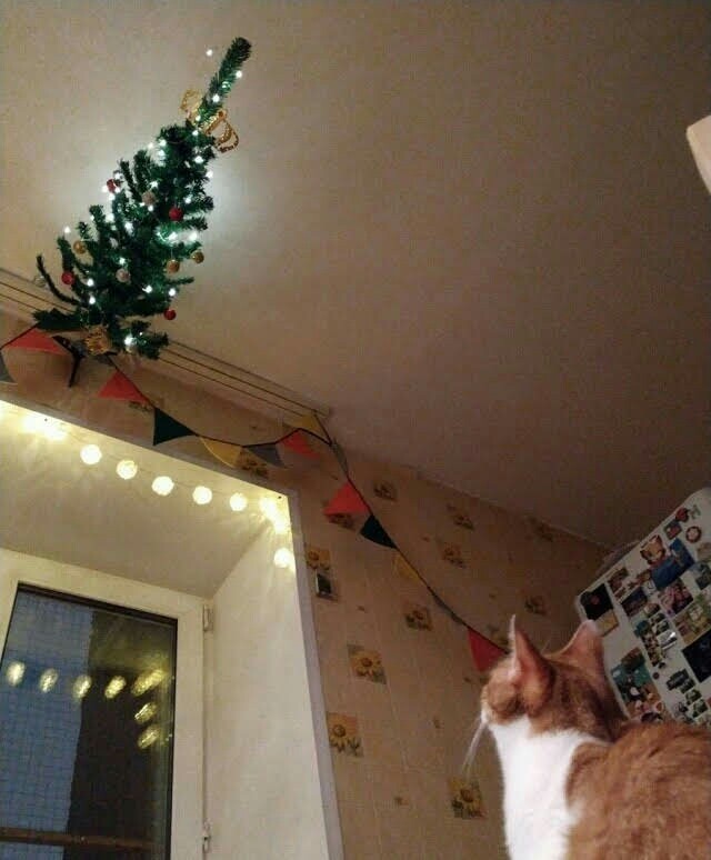 Знакомьтесь