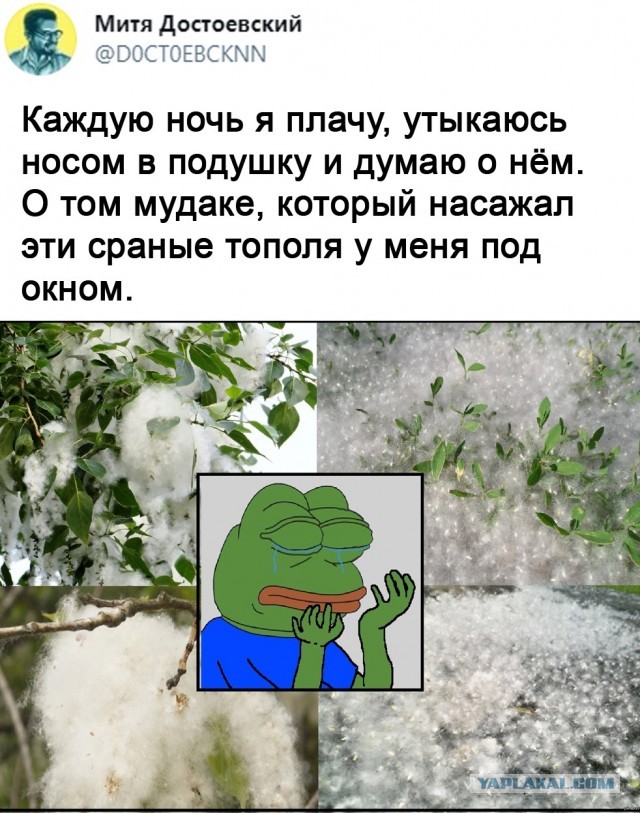 Картинки и мемы для настроения 10.06.2021