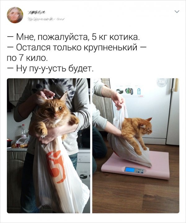 Картинки и мемы для настроения