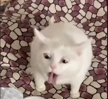 Сюрстрёмминг