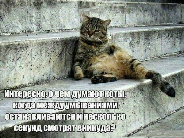 Вот так должна работать гос структура!