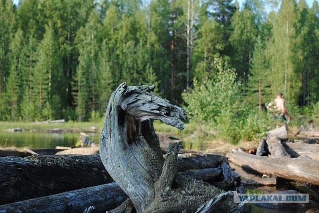 Карельские зарисовки