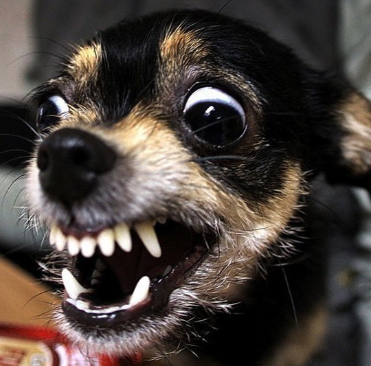 Два новых Су-57 в Новосибирске