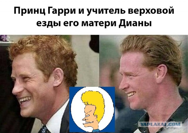 Просто картинки 20шт