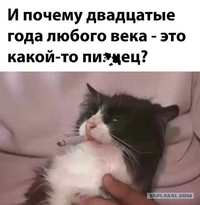 Весёлый полтишок 26.04.22