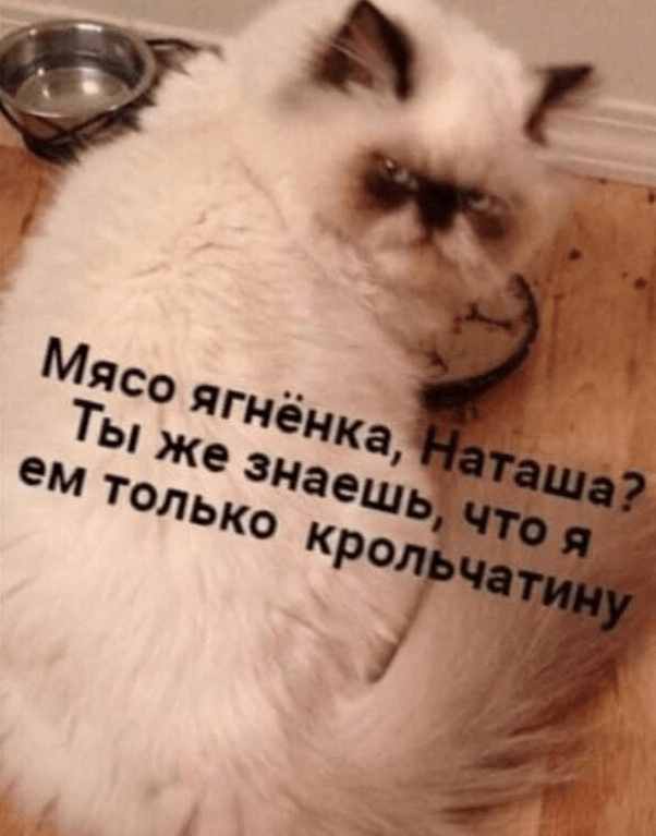 Средненедельная ХНЯ
