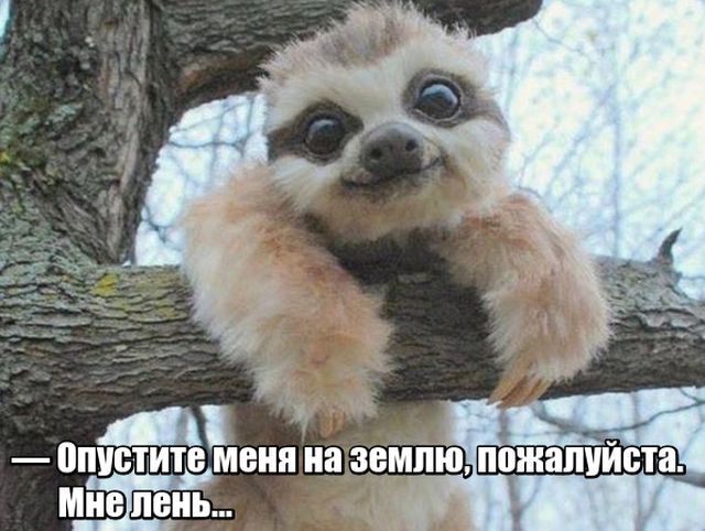 Скриншоты и комментарии из социальных сетей 28.12.22