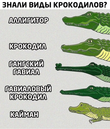 Картинки и мемы, всяко - 169