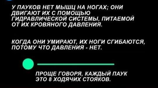 Народная меДИЧина 1036