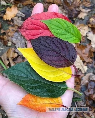 Советы от жадины, скряги и редкого жмота