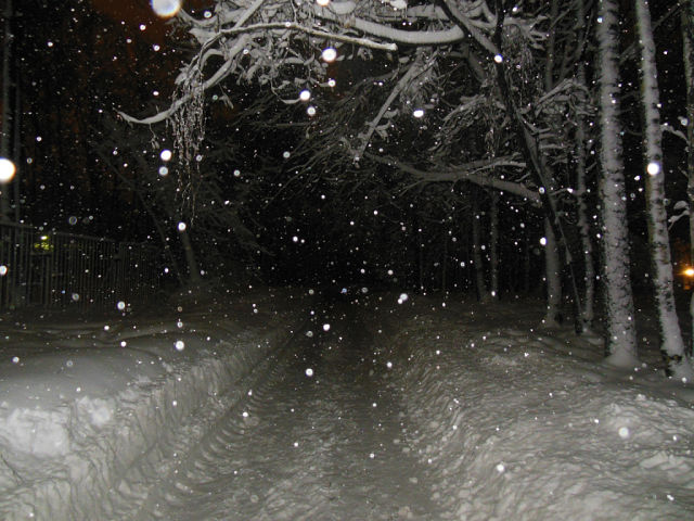 В снежном дворе