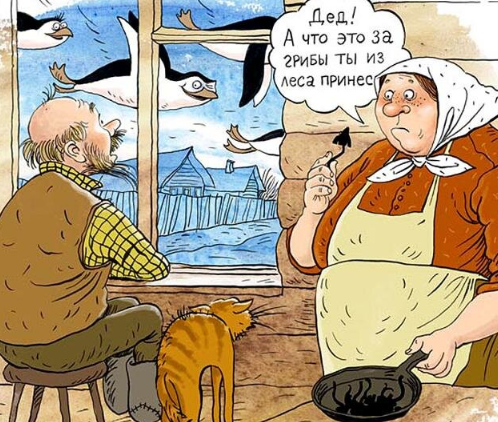 Как выглядят те грибы, которые теперь запрещено собирать в России