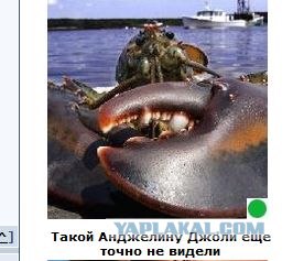 Автодемотиватор на ЯПе