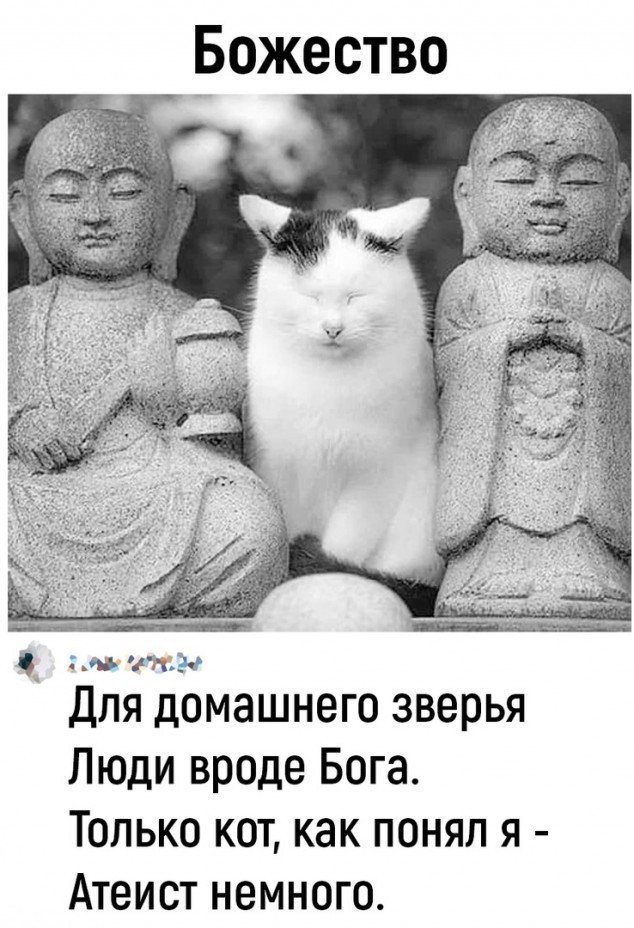 Благодарностью и не пахло