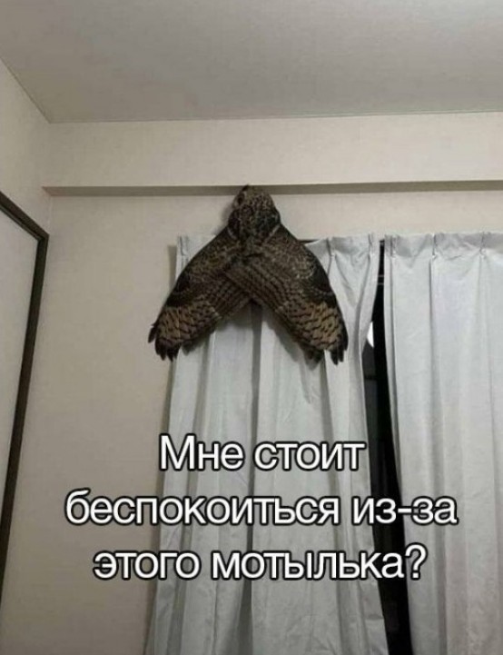 Так себе картинки 30.10.24