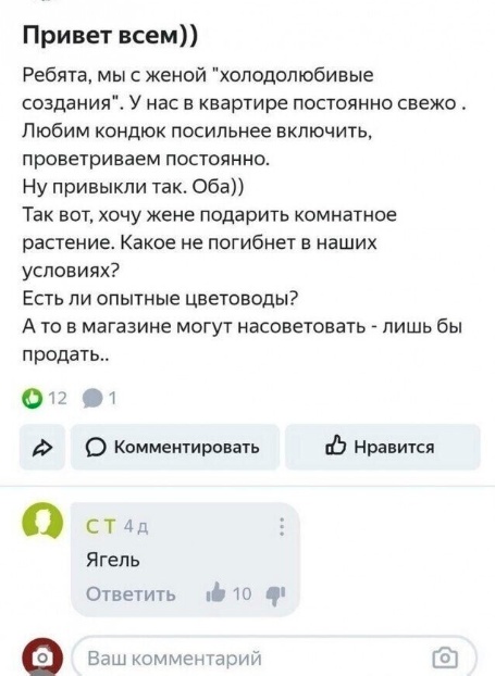 Так себе картинки 15.02.25