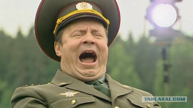Разбудили свинюшек