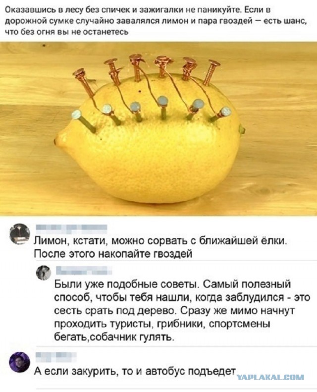 Так себе картинки 09.07.25