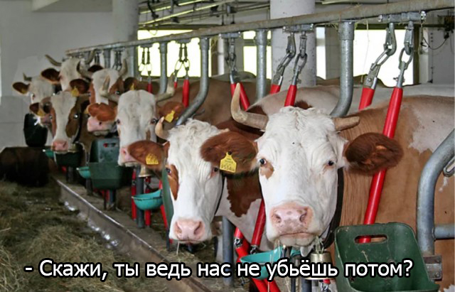 А глаза добрые-добрые