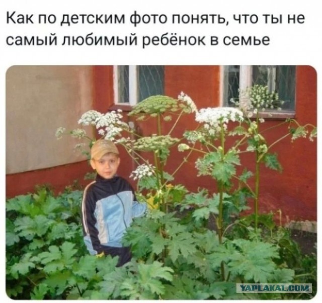 Вроде недорого