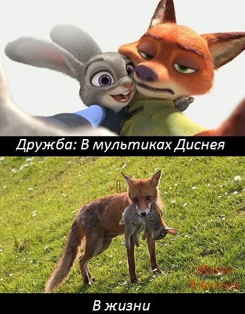 Веселое настроение в картинках (11.08.2025)