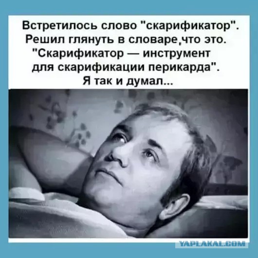 Так ходят в Москве
