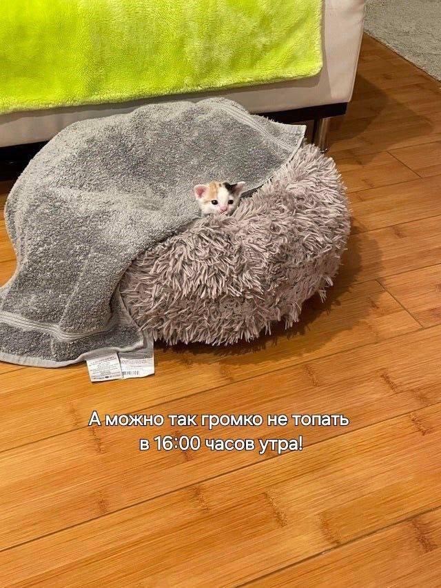 Картинки для деградации 62 (разной степени свежести)