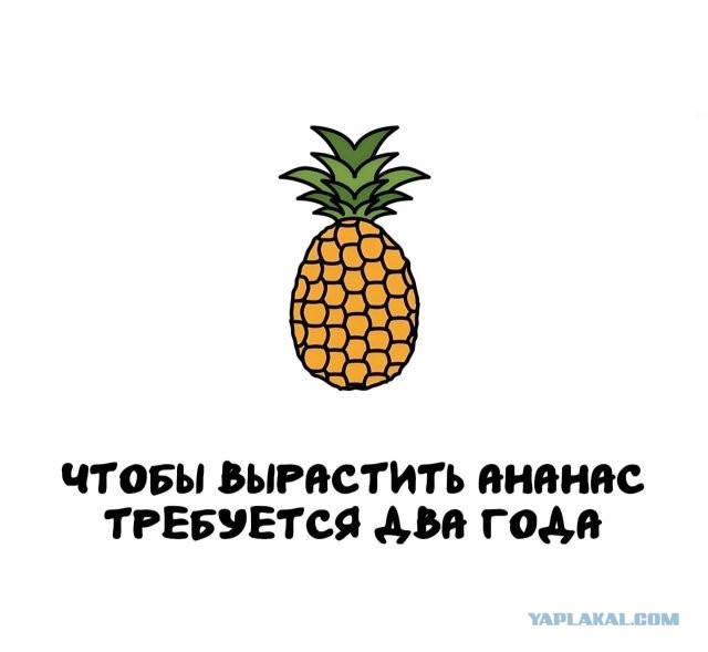 Интересные и короткие факты на все случаи жизни 05.01.26