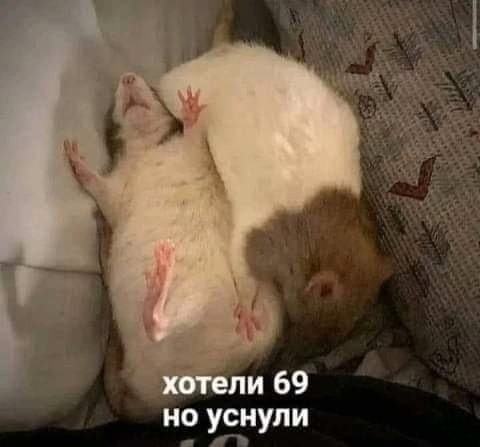 Понедельника картинки