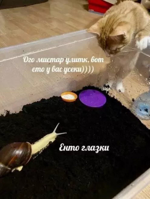 Картиночки, баянчики 26 апреля