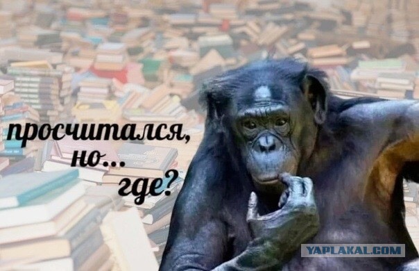 Единственно, как можно увеличить рождаемость в России - это запретить рожать