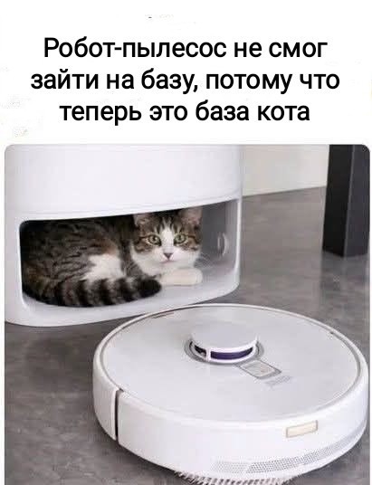 Картиночки, баянчики 19 июля