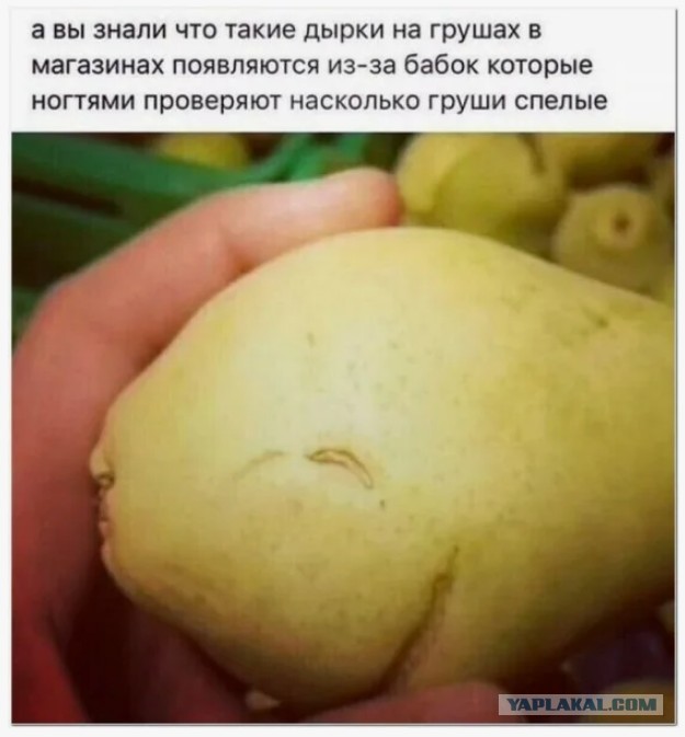 Пока всё не попробуешь, не поешь