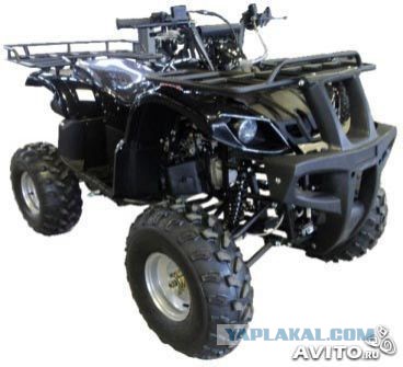 Черный волк